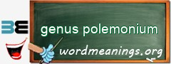 WordMeaning blackboard for genus polemonium